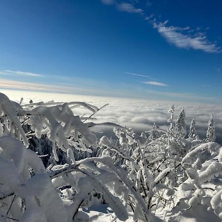 Kostelapartmany Liberec Bagian luar foto