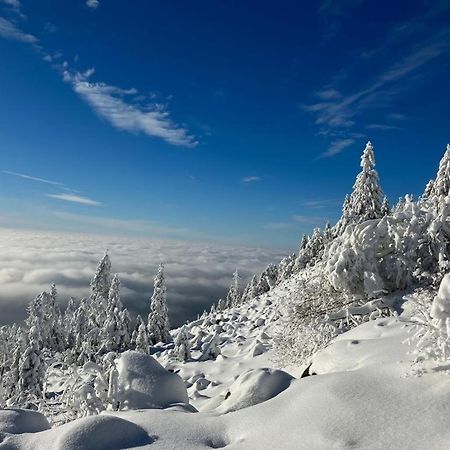 Kostelapartmany Liberec Bagian luar foto