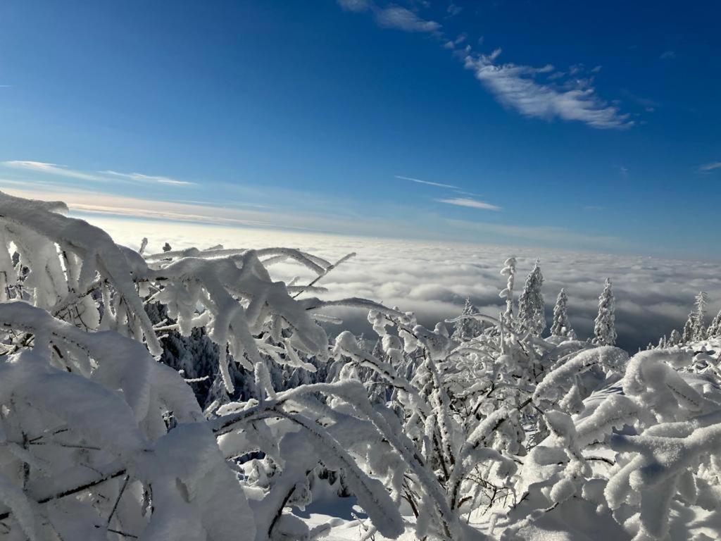 Kostelapartmany Liberec Bagian luar foto