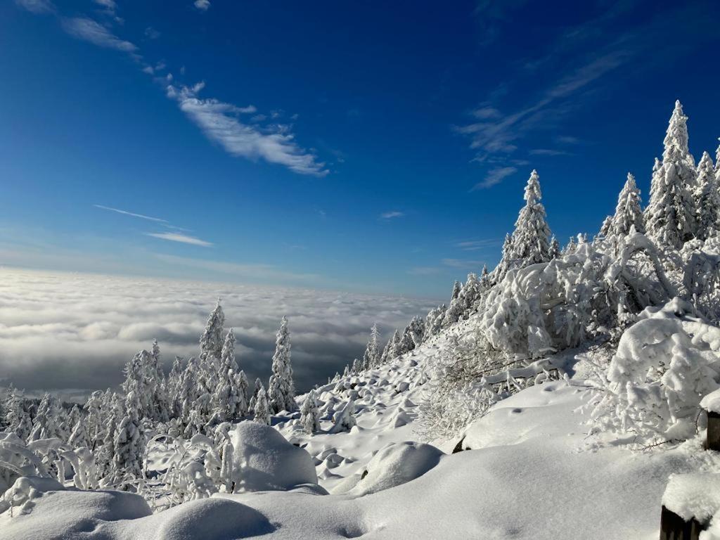 Kostelapartmany Liberec Bagian luar foto